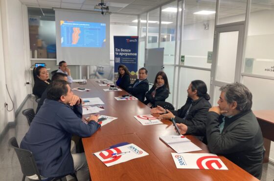 ¡Destacada Participación del Gerente General Roberto Varas en el Consejo de la Sociedad Civil del Sence Tarapacá!